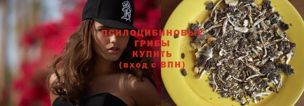 шишки Остров
