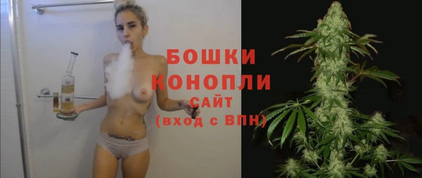 шишки Остров