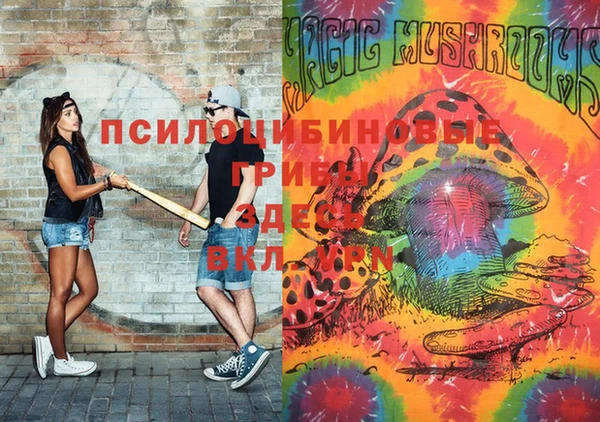 прущие крисы Осташков