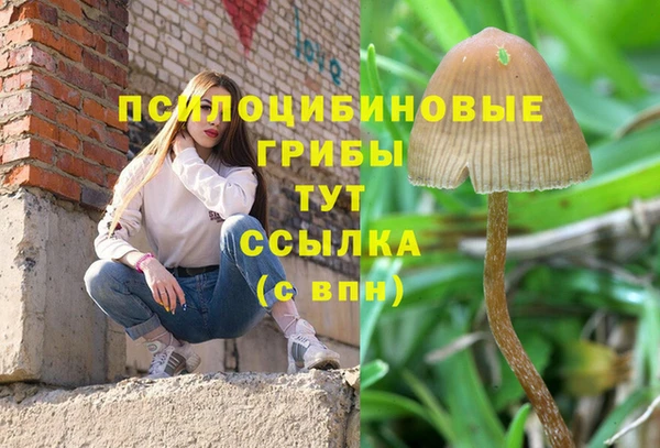 прущие крисы Осташков