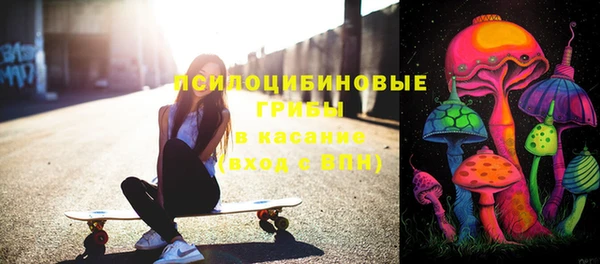 шишки Остров