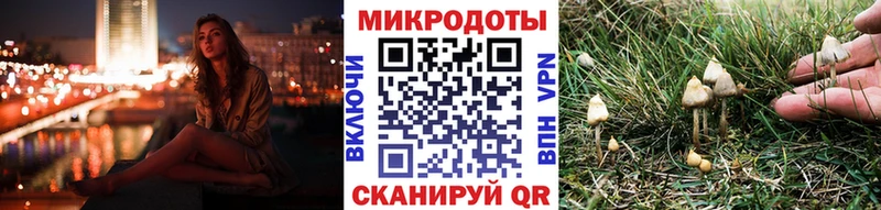 OMG зеркало  Абакан  Галлюциногенные грибы Psilocybine cubensis  где купить  
