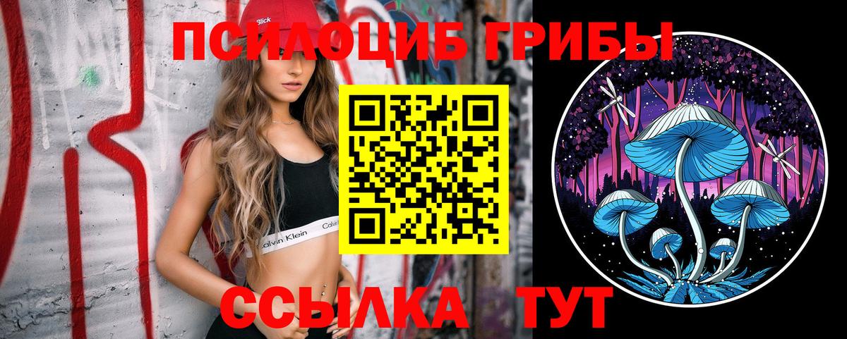 Псилоцибиновые грибы Psilocybe Абакан