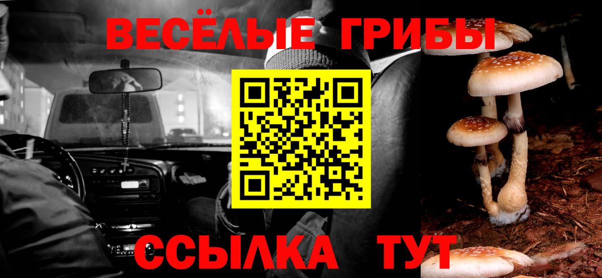 Абакан  Галлюциногенные грибы Psilocybe  Вход с VPN 