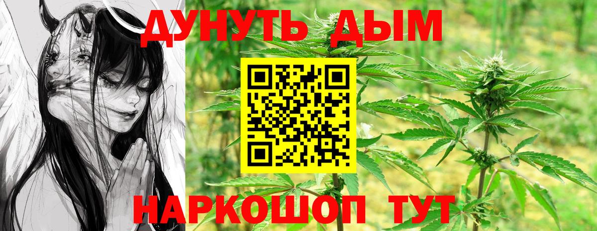Шишки марихуана план Абакан